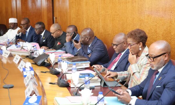 إصلاحات استراتيجية في الاتحاد النقدي لوسط إفريقيا لتعزيز الاستقرار الاقتصادي