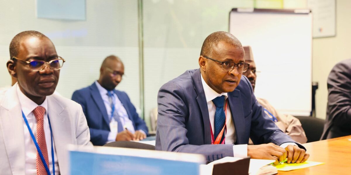 تشاد تطلق آلية تمويل مبتكرة للأسمدة بدعم دولي… خطوة لتعزيز الأمن الغذائي