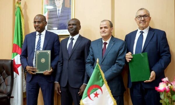 تشاد والجزائر تفتحان صفحة اقتصادية جديدة… هل تتحول الشراكة إلى قاطرة استثمار عابر للحدود؟
