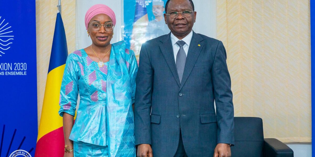 تشاد تتلقى دعماً صحياً بقيمة 127 مليون يورو من “الصندوق العالمي”… دفعة جديدة لمواجهة الأمراض المتوطنة