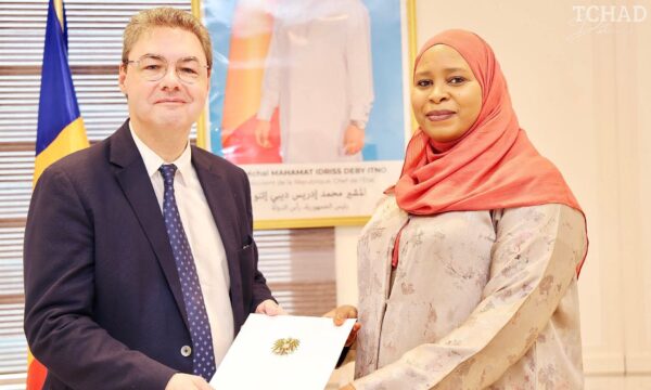 تشاد والنمسا تبحثان تعزيز التعاون الثنائي ودعم التنسيق في القضايا الدولية