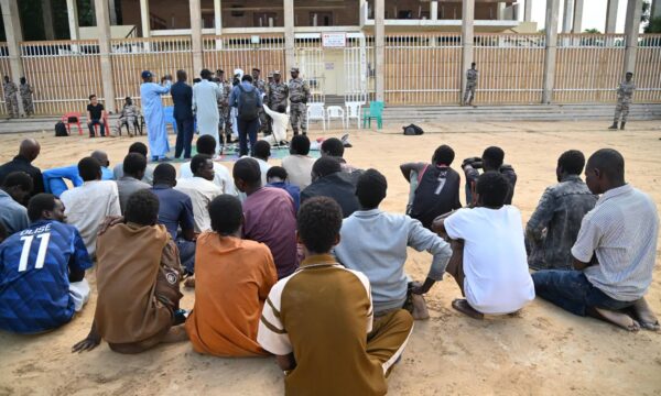 ضربة أمنية تكشف شبكات الجريمة في أنجمينا.. الشرطة تعرض 35 متهماً وتصادر أسلحة وأموالاً ومخدرات